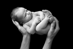 Newborn-Baby_Fotografie_Fotografie-Gumpenberger_71