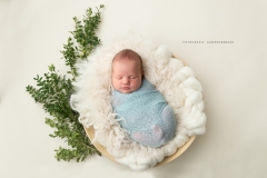 Newborn-Baby_Fotografie_Fotografie-Gumpenberger_83