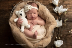 Newborn-Baby_Fotografie_Fotografie-Gumpenberger_84